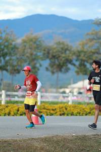 BIB: 
                            <button type="button" onclick="openModal(27852108)" class="btn btn-primary btn-sm float-right btn-popup" data-toggle="modal" data-target=".modal-high-quality">
                        <i class="fas fa-shopping-cart"></i> Add to Cart
                    </button>
                                            <button type="button" onclick="isThisMe(27852108, true)" class="btn btn-success btn-sm float-right btn-popup btn-isme hidden" data-toggle="tooltip" data-placement="bottom" title="นี่คือรูปของคุณใช่ไหม คลิกที่นี่เพื่อเอาเข้าอัลบั้ม">
                        <i class="fas fa-plus"></i> Add to album
                    </button>
                    <button type="button" onclick="isThisMe(27852108, false)" class="btn btn-warning btn-sm float-right btn-popup btn-isnotme hidden">
                        <i class="fas fa-ban"></i> Remove from album
                    </button>